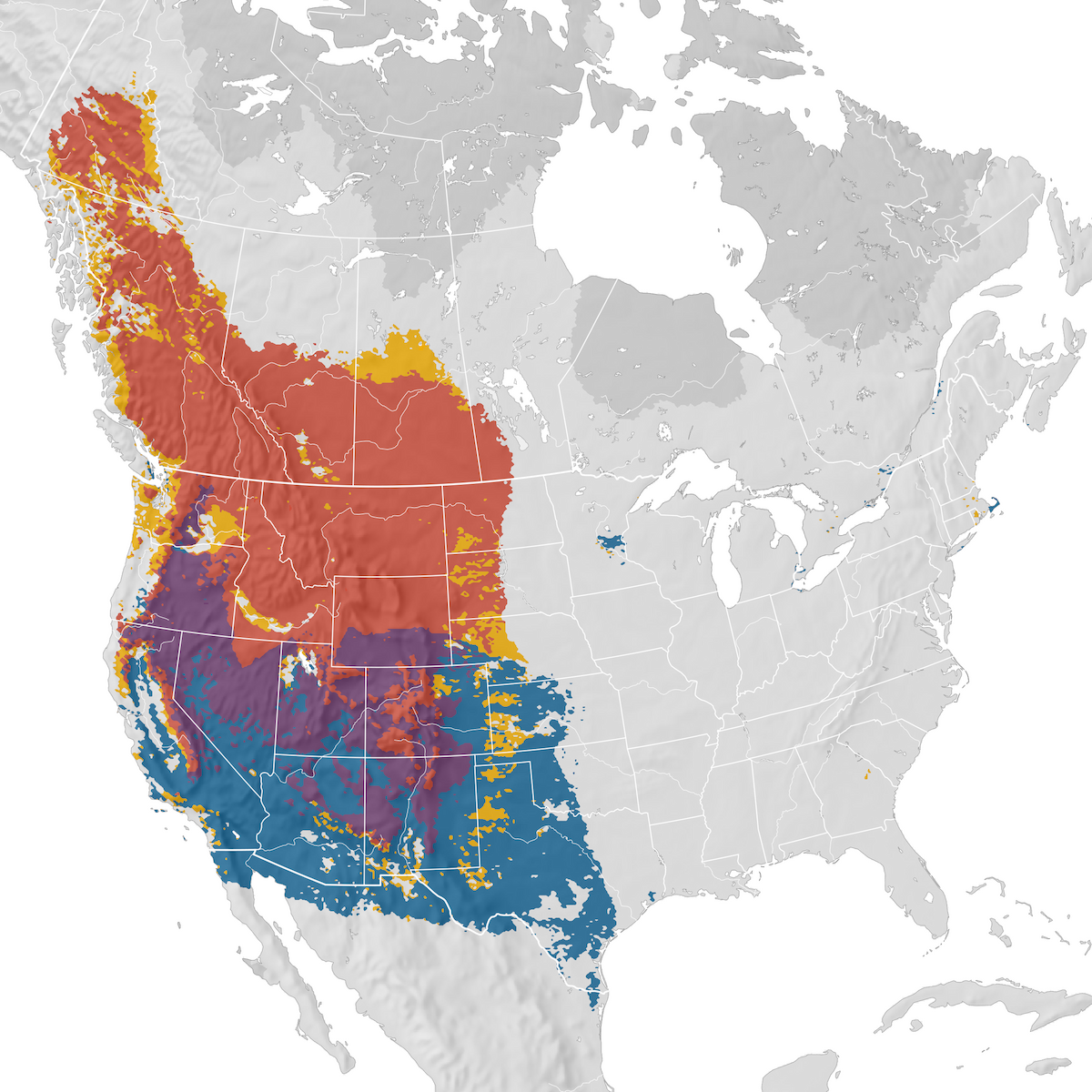 Mountain Bluebird - Range map - eBird Status and Trends