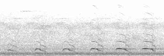trogon zelenohřbetý - ML189415
