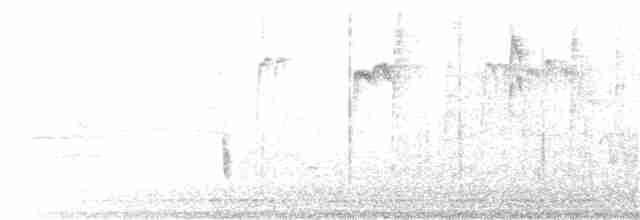Дрізд-короткодзьоб плямистоволий - ML189442761