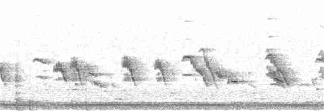 Кратеропа смугастоголова - ML189499331