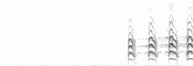 čejka jihoamerická (ssp. lampronotus) - ML189516