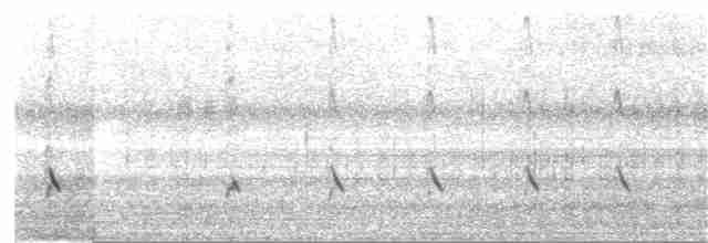 Common Redshank - ML189518131