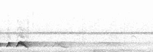 Rostnachtschwalbe [rufus-Gruppe] - ML189528