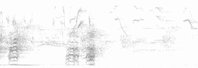 aratinga škraboškový [skupina mitratus] - ML189535