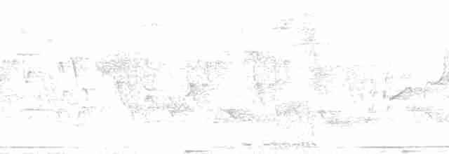 Rotmaskensittich [mitratus-Gruppe] - ML189537