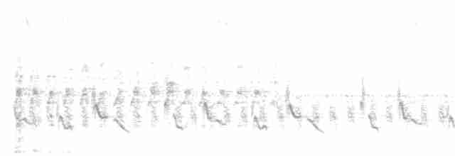 Weißbürzeltangare - ML189557981