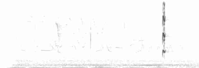 gulbuktykknebb (aureoventris) - ML189558