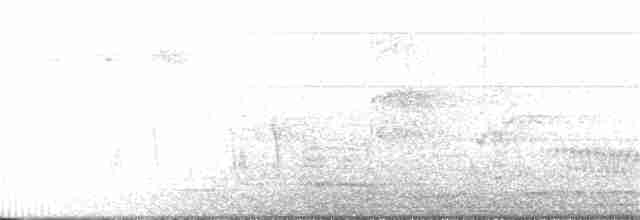 Australian Reed Warbler - ML189716171