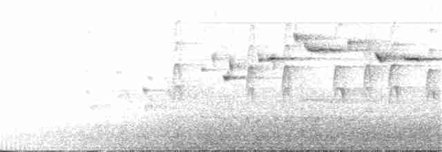 Gray Fantail (alisteri) - ML189718101