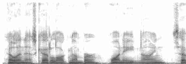 Échenilleur cigale (groupe tenuirostre) - ML189719