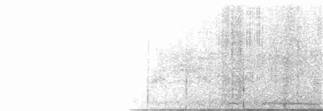 Синеголовая веерохвостка - ML189729291