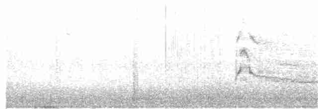 káně rudochvostá (ssp. harlani) - ML189736171