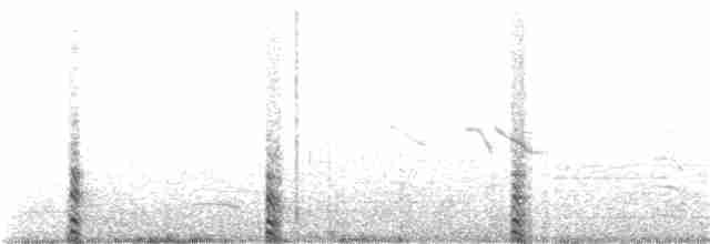 Краснолобая лысуха - ML189826251