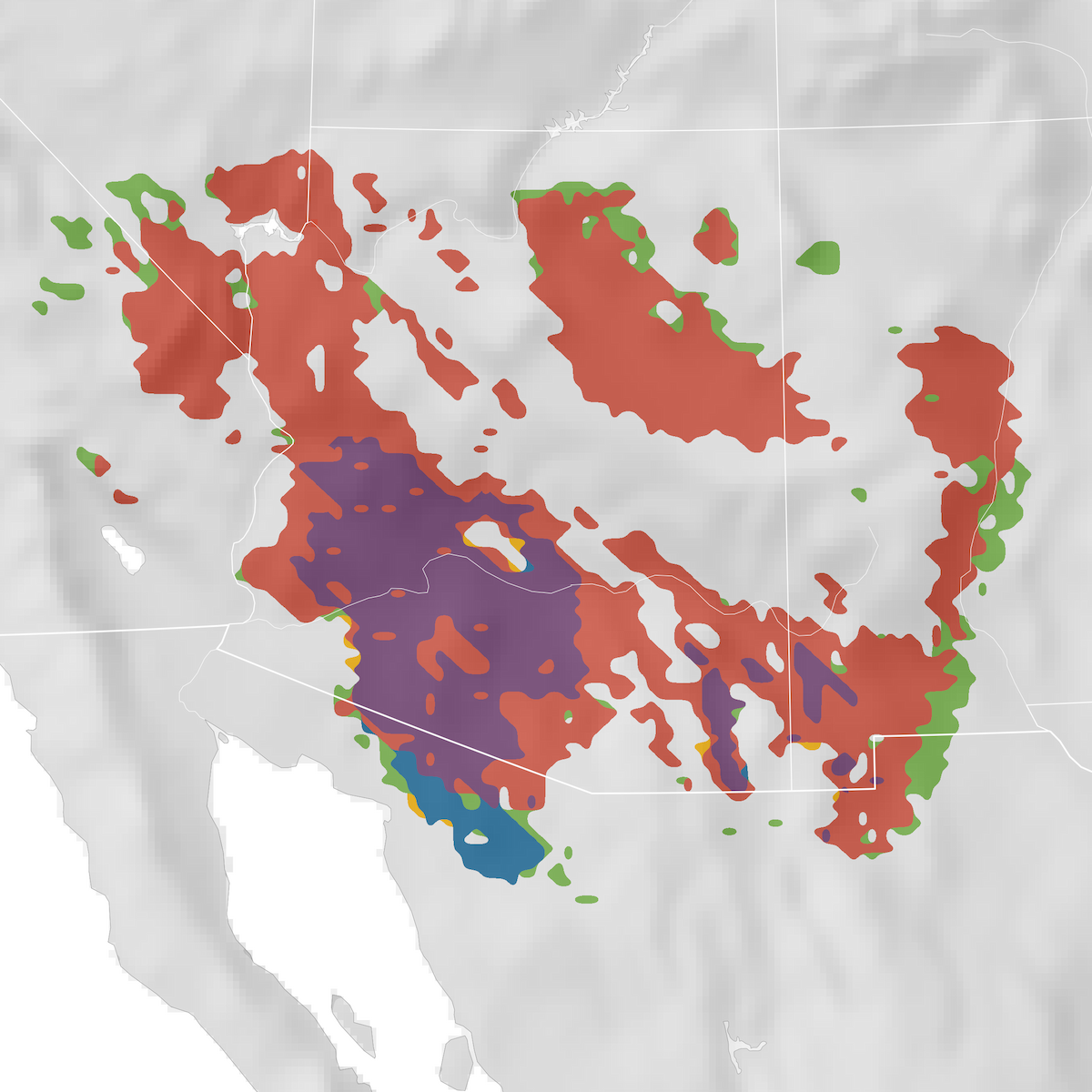 Bendire's Thrasher - Range Map - EBird Status And Trends