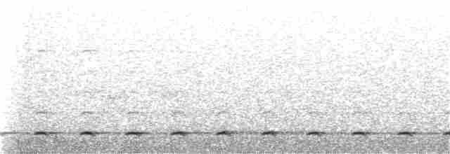 Chevêchette australe - ML189916951