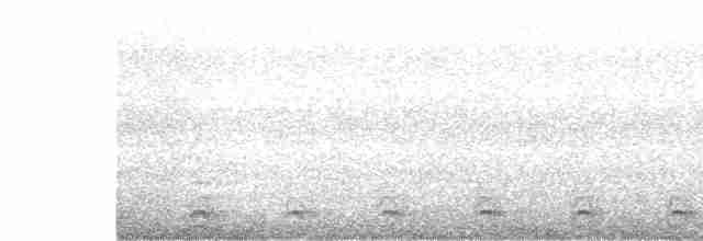 Slaty-tailed Trogon - ML189942981
