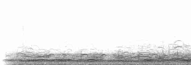 Tundra Swan (Whistling) - ML189983691