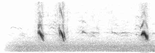 grånakkefjellfink (umbrina) - ML190105451