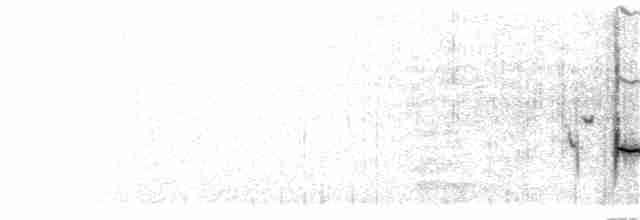 Plectrophane des neiges - ML190112261