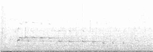 Pygargue à tête blanche - ML190136121