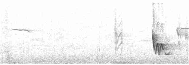 Troglodyte bridé - ML190148061