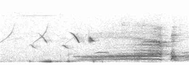 Swainson's Spurfowl - ML190161851