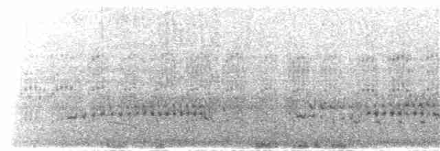 barsmett (alascensis gr.) - ML190264491