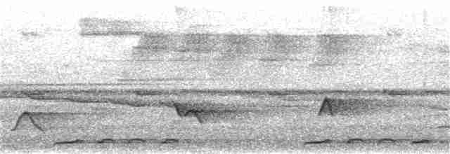 Cava Kahverengi Kafalı Barbeti - ML190305031