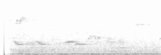 Bändernachtschwalbe - ML190319551