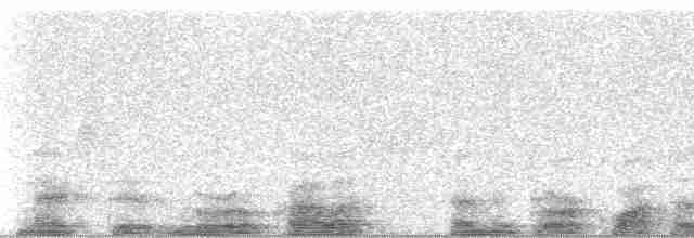 Bändernachtschwalbe (nattereri) - ML19037