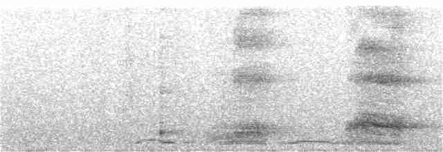 Büyük Kertenkele Guguğu [merlini grubu] - ML190522321