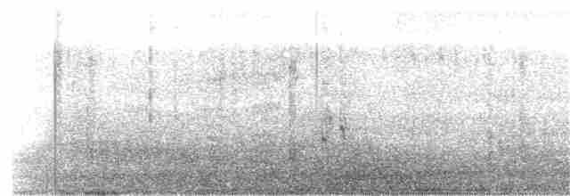 Мексиканская аратинга (rubritorquis) - ML190523641