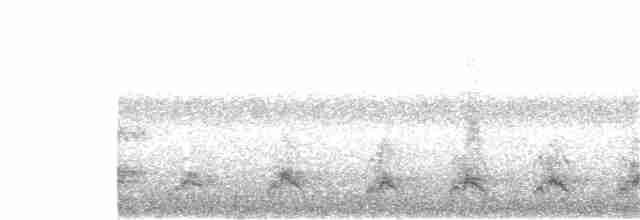 Schwarzkehl-Nachtschwalbe - ML190526761
