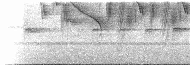 Тиран-крихітка темноголовий - ML190559481