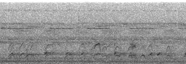Short-tailed Nighthawk (Short-tailed) - ML190564