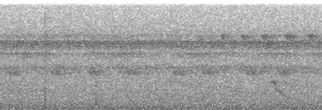 Kahverengi Tepeli Pufkuşu - ML190576