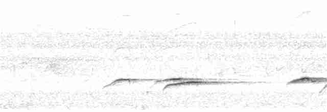 kukačka pískavá (ssp. virescens) - ML190601521