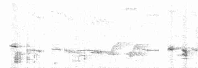 Kabarık Gerdanlı Ardıçesmeri - ML190613461