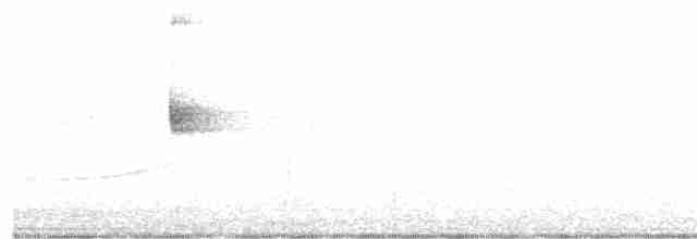 Flavescent Warbler - ML190656541