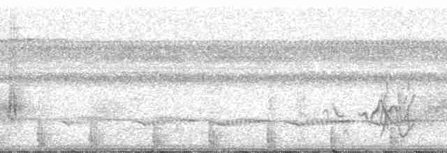 Южноамериканский лапчатоног - ML190757