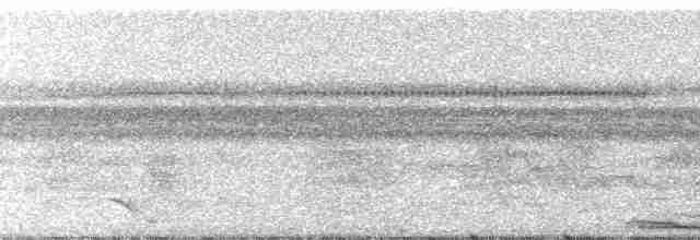 Zigzag Heron - ML190769