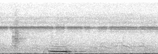 Zigzag Heron - ML190817