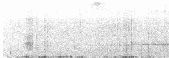 Anthrazitameisenvogel - ML190840751
