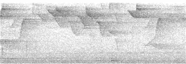 Гвианский колибри-отшельник - ML190869151