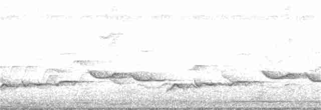 Oriole Warbler - ML190872611