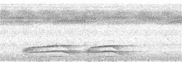 Гребенечуб гвіанський - ML190878421