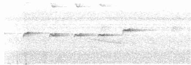 Kurzschwanz-Ameisenvogel - ML190881541