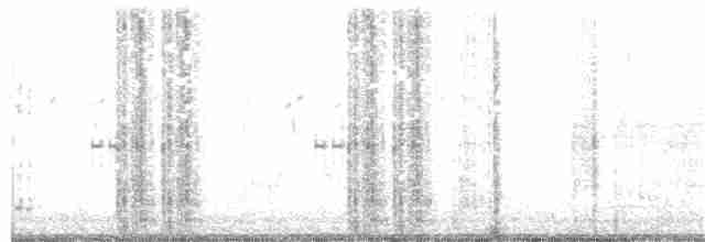 Pheasant-tailed Jacana - ML190995151