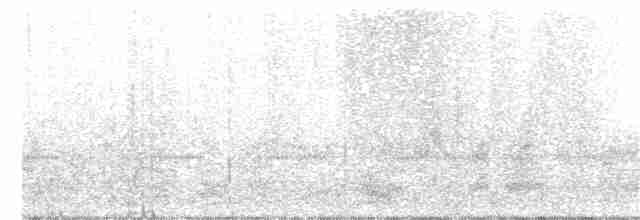 Swinhoe's Storm-Petrel - ML190995861