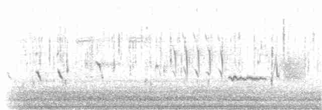 Kara Gözlü Junko (hyemalis/carolinensis) - ML191029351
